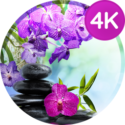 دانلود Wallpapers with flowers in 4K