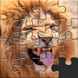 دانلود Puzzles for Adults no internet