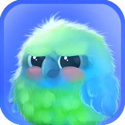 Kiwi The Parrot