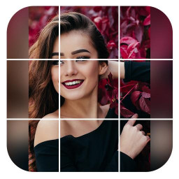 دانلود Grid Maker for Instagram (Inst