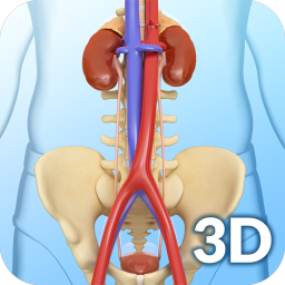 دانلود My Urinary System