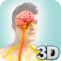 دانلود Nervous System Anatomy Pro.