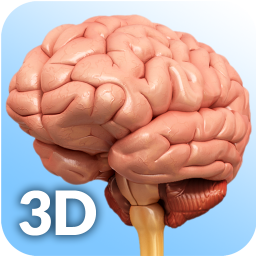 دانلود Brain Anatomy Pro.