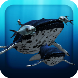 دانلود 3D Sea Fish Live Wallpaper HD