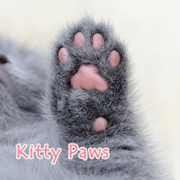 دانلود Kitty Paws +HOME