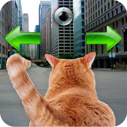 دانلود Cat In City Go Simulator