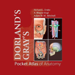 دانلود Dorland's Gray's Pocket Atlas of Anatomy