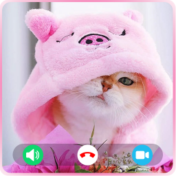 دانلود Cat Fake Video Call Cat Game