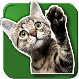 دانلود WASticker Cats