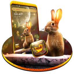 دانلود Rabbit in Space Launcher