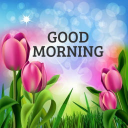 دانلود Good Morning Images App