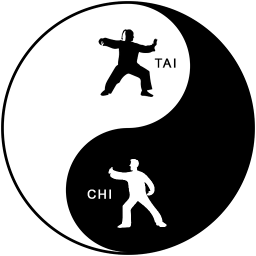 Learn Tai Chi: Tai Chi Videos