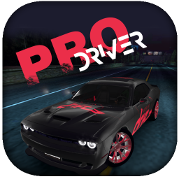Pro Driver: Sports Car Driving Simulator