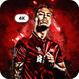 🔥 Virgil Van Dijk Wallpaper - VVD Wallpaper
