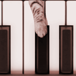 دانلود Cat Piano Memory Game