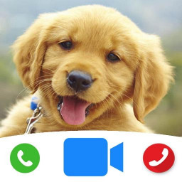 دانلود Cute Dog Prank Call - Fake Cal