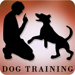 Dog Training Videos : Learn Dog Training