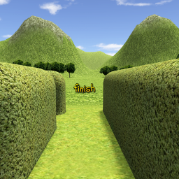 3D Maze / Labyrinth