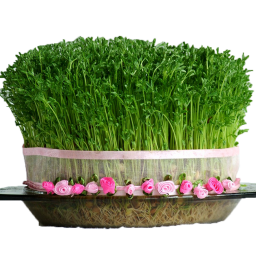 تزیین سفره هفت سین