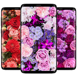 دانلود Flowers Wallpapers دانلود Flowers Wallpapers