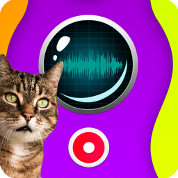 Cat Speaker