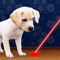 Laser Pointer for Dogs
