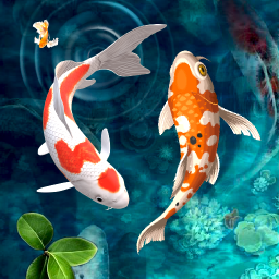 دانلود Koi Fish Live Wallpaper 4k