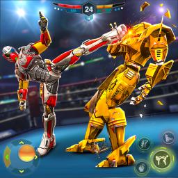 Real Robot Superhero Kung Fu Fight Champion 2020