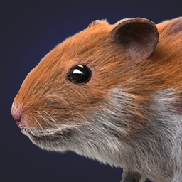 دانلود Hamster Clicker Earn Coins