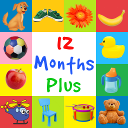 First Words 12 Months Plus (Baby Flash cards)