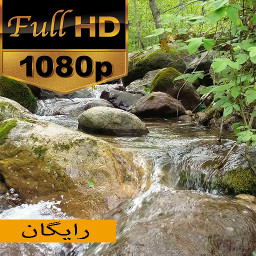 زمینه متحرک لاویچ FULL HD (رایگان)