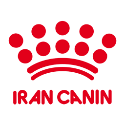 دانلود ایران کنین