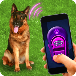 دانلود Training Dog Clicker Trinket