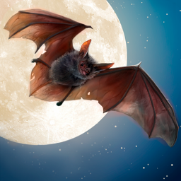 Wild Bat Simulator 3D