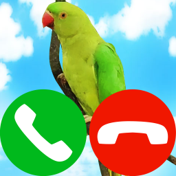 دانلود fake incoming call pet game