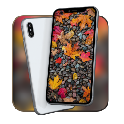 دانلود Theme for Xiaomi 12 Ultra