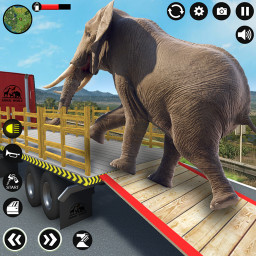 دانلود Zoo Animal: Truck Driving Game