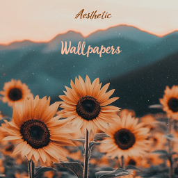دانلود aesthetic vsco wallpapers