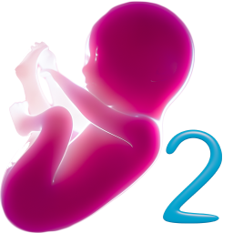 دانلود Alima's Baby 2 (Virtual Pet) دانلود Alima's Baby 2 (Virtual Pet)