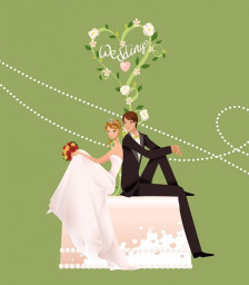آرایش عروس،ماشین،کارت،لباس عروس