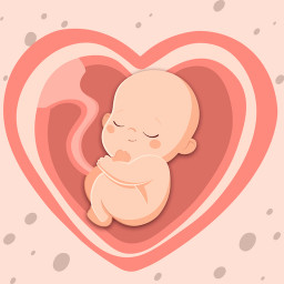 دانلود HiMommy: Ovulation & Pregnancy