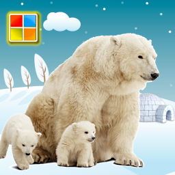 دانلود Animals Cards Games