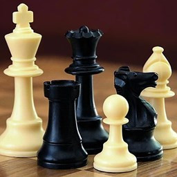 شطرنج دو نفره