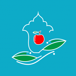 دانلود عطار بوعلی:گیاهان دارویی و زیبایی
