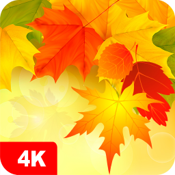 دانلود Autumn Wallpapers 4K