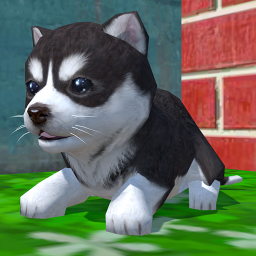 دانلود Cute Pocket Puppy 3D