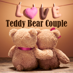 دانلود Teddy Bear Couple Theme +HOME