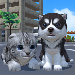دانلود Cute Pocket Cat And Puppy 3D دانلود Cute Pocket Cat And Puppy 3D