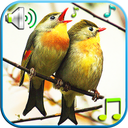 Birds Sounds & Ringtones