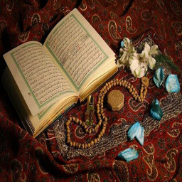 انواع شکیات